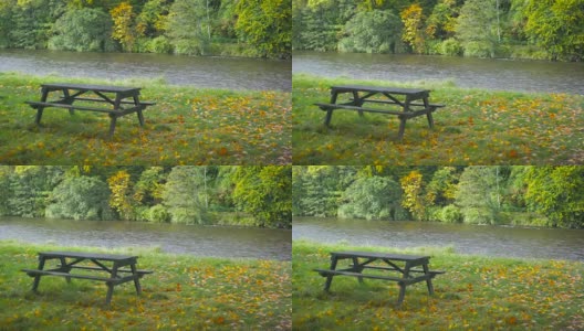 伍迪长椅和美丽的河秋天在苏格兰，附近的阿伯茨福德房子高清在线视频素材下载