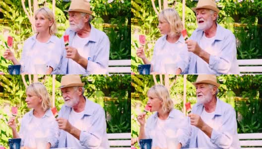 两对老年夫妇在户外聚会上吃西瓜棒。高清在线视频素材下载