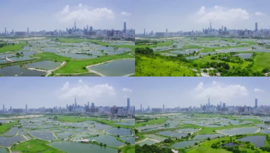 在香港和中国深圳之间的乡村绿地和鱼塘高清在线视频素材下载