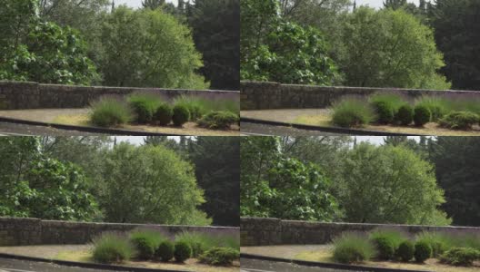 法国夏日戈尔茨城的盲目雨。绿树和紫色的灌木在阳光下闪闪发光高清在线视频素材下载