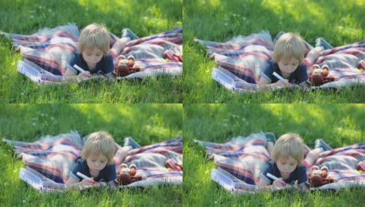 可爱的幼儿，金发男孩，在公园里玩放大镜，在图画书里画画高清在线视频素材下载