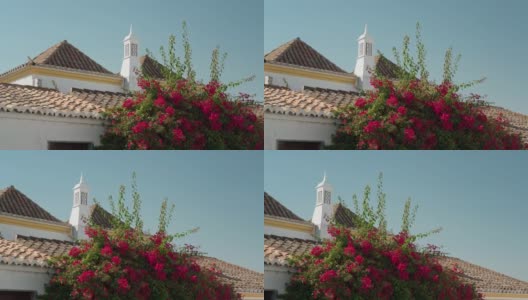传统的葡萄牙建筑、设计、老房子、屋顶和烟囱。墙上春暖花开的紫色花朵。葡萄牙南部。高清在线视频素材下载