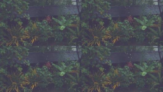 慢镜头:暴雨冲刷着被热带植物包围的黑色屋顶。高清在线视频素材下载