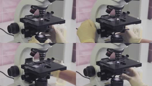 在实验室用显微镜工作高清在线视频素材下载