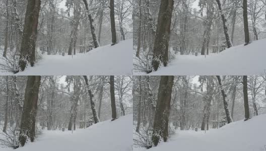 公园里下雪了高清在线视频素材下载