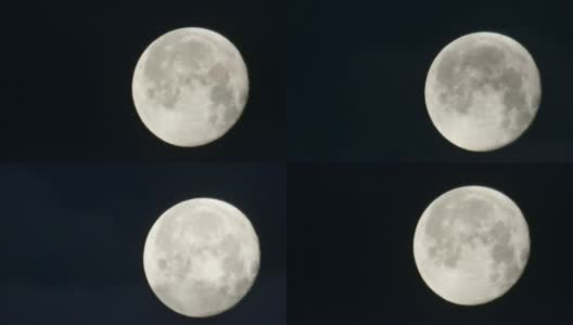 Moon -满月高清在线视频素材下载