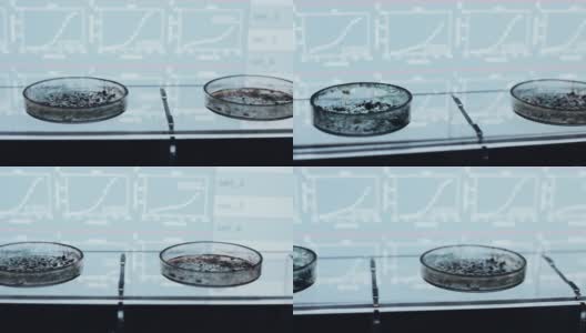 实验室样品在培养皿关闭。科学实验室。高清在线视频素材下载