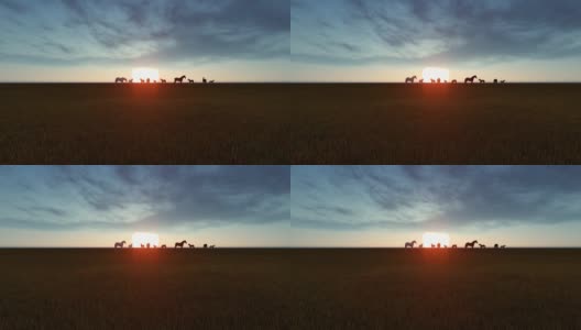 日落时马在草地上吃草高清在线视频素材下载