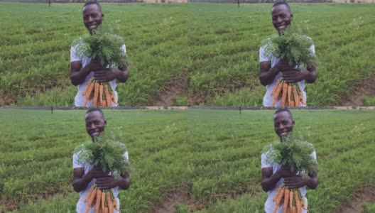 一个非洲黑人农民微笑的特写镜头，看着相机，拿着一串漂亮的新鲜胡萝卜，他刚刚拔出地面高清在线视频素材下载