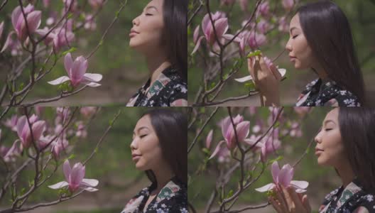 在阳光明媚的春天公园里，快乐美丽的亚洲女人在树上享受粉红色樱花的香味。美丽的日本千禧一代穿着和服在阳光下闻花瓣的慢动作。高清在线视频素材下载