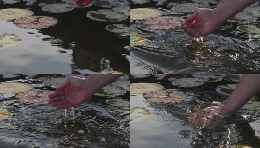 慢镜头女子的手从池塘里抓水高清在线视频素材下载