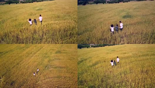 夏天，三个小孩在麦田里散步。鸟瞰图。高清在线视频素材下载
