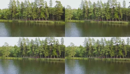 全景图从右到左，在河森林地区。航空摄影测量高清在线视频素材下载