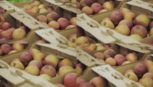 市场。前景是摊位上美丽多彩的苹果。大苹果装在木箱里放在架子上。高清在线视频素材下载