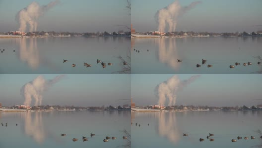 湖泊上的工厂污染高清在线视频素材下载