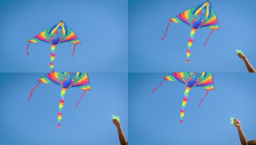 风筝在天空中飞。有选择性的重点。大自然。高清在线视频素材下载