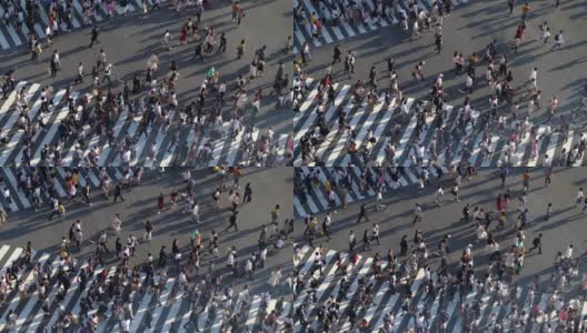 日本东京涩谷十字路口的行人俯视图高清在线视频素材下载