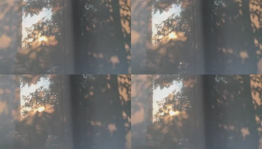 夕阳透过树叶和窗户遮蔽建筑物高清在线视频素材下载