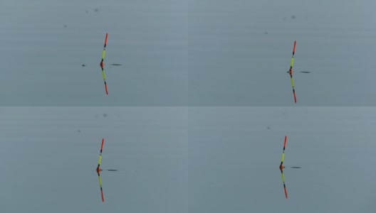 钓鱼时在水中放置钓竿的浮子。水中的浮子表明鱼在上钩。高清在线视频素材下载