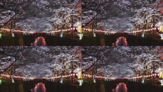 目黑河的樱花节。目黑河。是春季的热门景点。高清在线视频素材下载