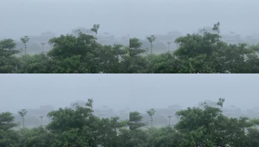 台南市有大雨和强风高清在线视频素材下载