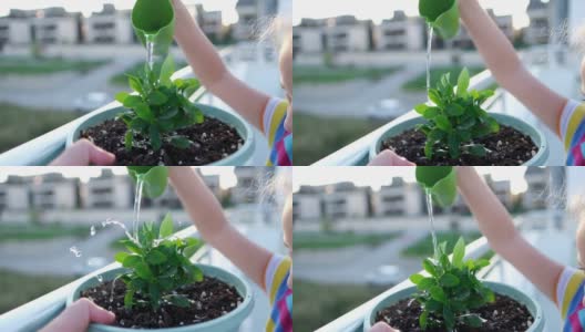 可爱的小女孩在花园里用喷壶给植物浇水。高清在线视频素材下载