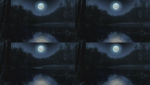 晚上月亮在湖面上。高清在线视频素材下载