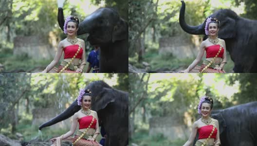 亚洲女人与大象在小溪，泰国清迈。高清在线视频素材下载