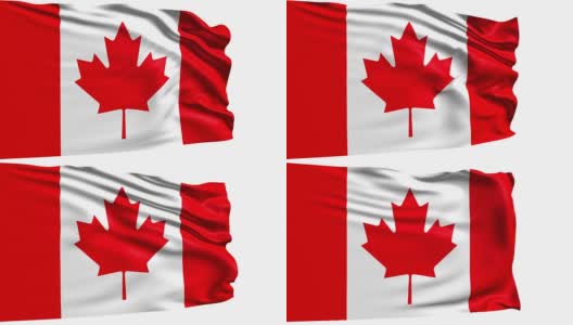 加拿大国旗(环)高清在线视频素材下载