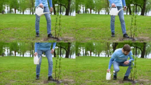 男生态活动家浇灌树木，志愿者爱护自然资源高清在线视频素材下载