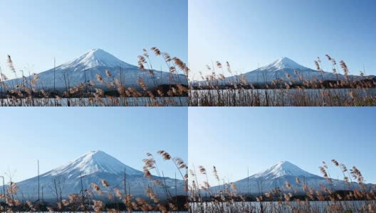 蓝天下的冬季富士山景观高清在线视频素材下载