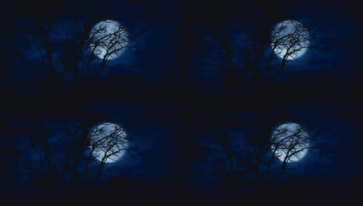 深夜光秃秃的树后的巨大满月高清在线视频素材下载