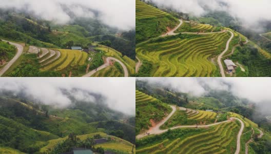 宏伟的黄色梯田在丘陵景观和蜿蜒的道路。高清在线视频素材下载