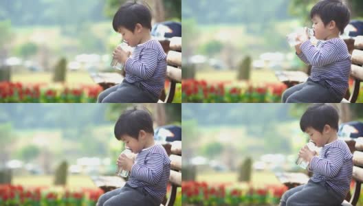 亚洲男婴在公园长凳上喝水高清在线视频素材下载