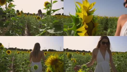 生活方式与一个年轻漂亮的金发白种女人漫步穿过一片向日葵在一个夏天的下午在白色的裙子高清在线视频素材下载