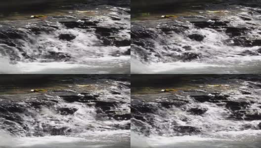 热带雨林中的瀑布，高清在线视频素材下载