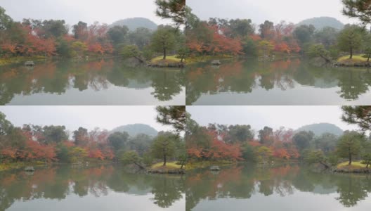 4k美丽的日本花园，有池塘和红叶高清在线视频素材下载