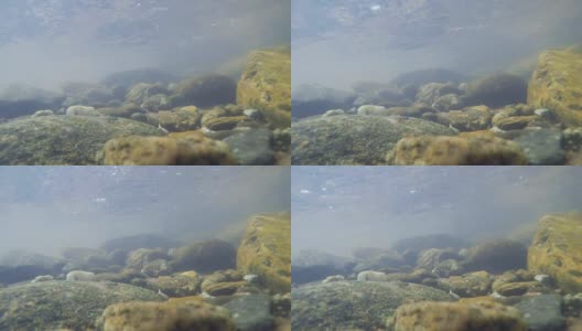超高清4K水下景观高清在线视频素材下载