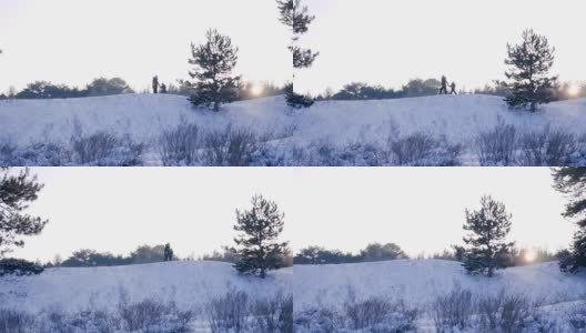 妈妈和儿子在森林里拉着雪橇，一家人在阳光明媚的冬日户外玩耍高清在线视频素材下载