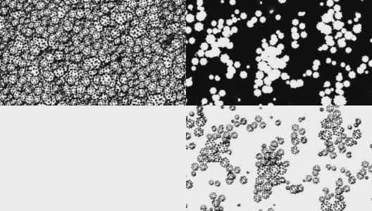 2D黑白冠状病毒覆盖屏幕过渡或背景高清在线视频素材下载