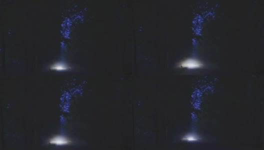 树木和月亮的剪影。森林在日出前高清在线视频素材下载