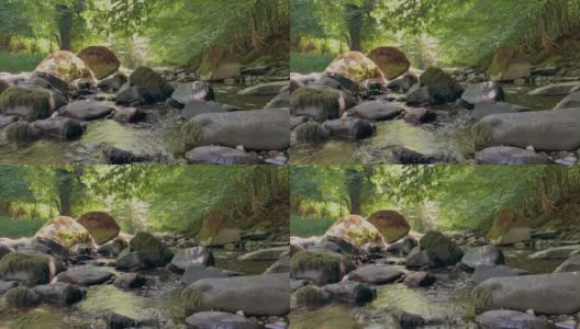 画面-清澈的溪水。无缝循环全高清1920 x 1080镜头高清在线视频素材下载