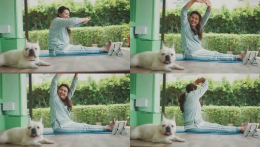 微笑的女人和可爱的法国斗牛犬一起做瑜伽。高清在线视频素材下载