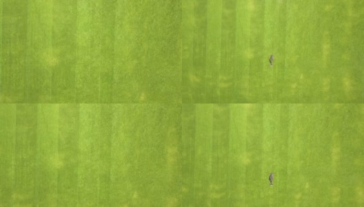 鸟瞰图:夏季足球场上用割草机修剪青草的工人的小身影高清在线视频素材下载