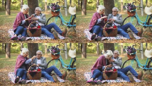 快乐的成熟夫妇野餐高清在线视频素材下载