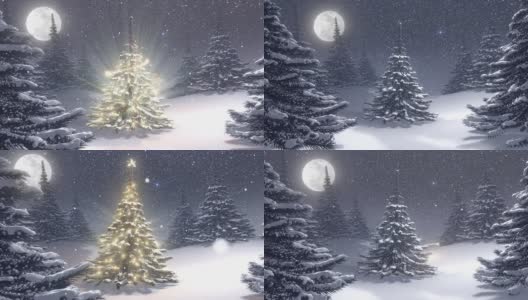 冬季景观与白色圣诞树装饰的北极星。高清在线视频素材下载