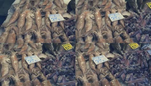 希腊雅典中央市场出售的一盘鱿鱼高清在线视频素材下载