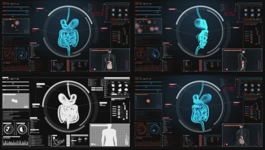放大人体扫描内脏器官，数字化显示消化系统。高清在线视频素材下载