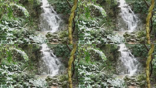 考森莱约国家公园森林中的瀑布高清在线视频素材下载