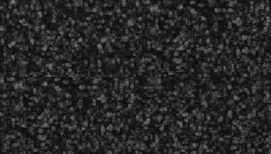 4K疾病细胞病毒扫描显微镜黑白循环动画背景高清在线视频素材下载